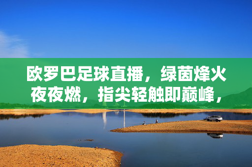 欧罗巴足球直播，绿茵烽火夜夜燃，指尖轻触即巅峰，欧罗巴直播烽火夜，指尖轻触即巅峰