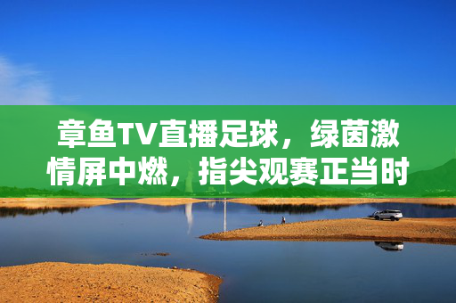 章鱼TV直播足球，绿茵激情屏中燃，指尖观赛正当时，章鱼TV直播足球，绿茵激情屏中燃，指尖观赛正当时