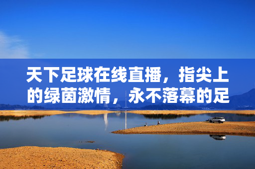 天下足球在线直播，指尖上的绿茵激情，永不落幕的足球盛宴，指尖绿茵，永不落幕的足球盛宴