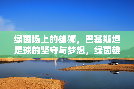 绿茵场上的雄狮，巴基斯坦足球的坚守与梦想，绿茵雄狮，巴基斯坦足球的坚守与梦想