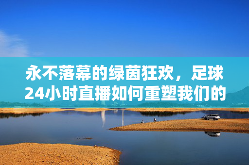 永不落幕的绿茵狂欢，足球24小时直播如何重塑我们的观赛体验，永不落幕的绿茵狂欢，足球24小时直播重塑观赛体验