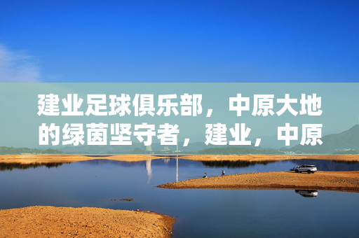 建业足球俱乐部，中原大地的绿茵坚守者，建业，中原大地的绿茵坚守者