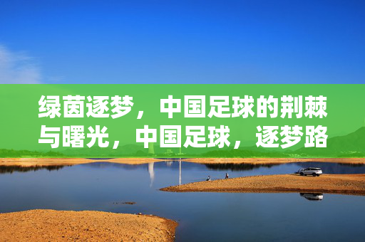 绿茵逐梦，中国足球的荆棘与曙光，中国足球，逐梦路上的荆棘与曙光