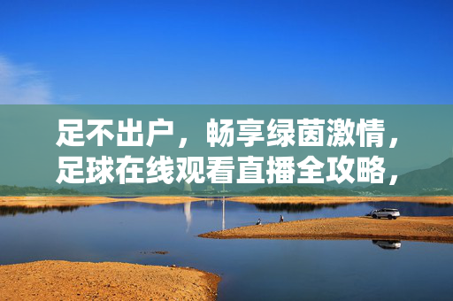 足不出户，畅享绿茵激情，足球在线观看直播全攻略，足不出户畅享绿茵激情，足球在线观看直播全攻略