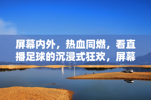 屏幕内外，热血同燃，看直播足球的沉浸式狂欢，屏幕内外，热血同燃，直播足球沉浸式狂欢