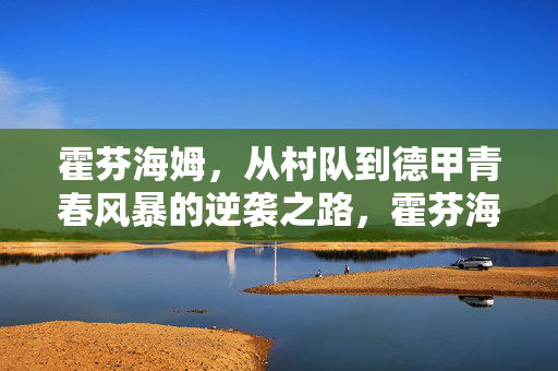 霍芬海姆，从村队到德甲青春风暴的逆袭之路，霍芬海姆，从村队到德甲青春风暴的逆袭