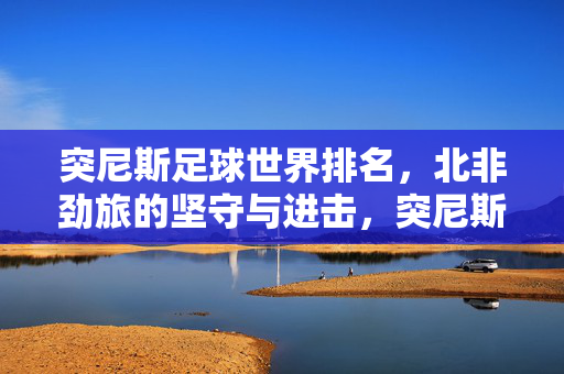 突尼斯足球世界排名，北非劲旅的坚守与进击，突尼斯足球世界排名，北非劲旅的坚守与进击