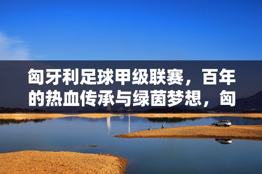匈牙利足球甲级联赛,百年的热血传承与绿茵梦想,匈牙利足球甲级联赛,百年热血传承,绿茵梦想不息