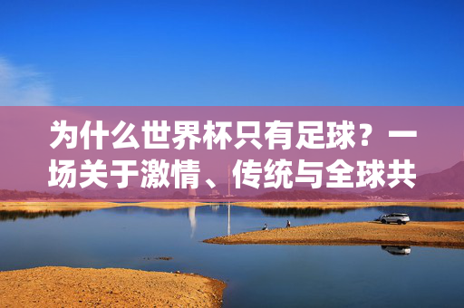 为什么世界杯只有足球？一场关于激情、传统与全球共识的体育传奇，世界杯为何独属足球？激情、传统与全球共识的体育传奇