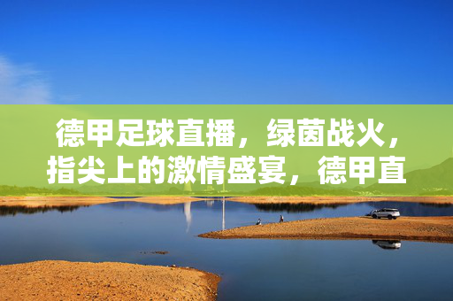 德甲足球直播，绿茵战火，指尖上的激情盛宴，德甲直播，绿茵战火，指尖激情盛宴