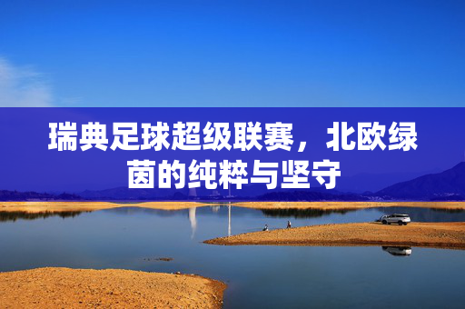 瑞典足球超级联赛，北欧绿茵的纯粹与坚守