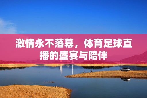 激情永不落幕，体育足球直播的盛宴与陪伴
