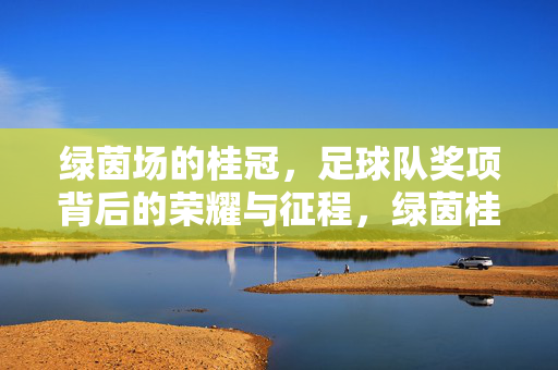 绿茵场的桂冠，足球队奖项背后的荣耀与征程，绿茵桂冠，足球队奖项的荣耀与征程