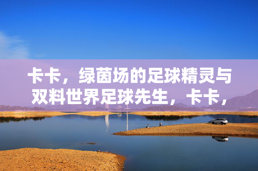 卡卡,绿茵场的足球精灵与双料世界足球先生,卡卡,绿茵精灵与双料足球先生