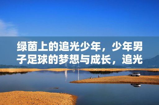绿茵上的追光少年，少年男子足球的梦想与成长，追光少年，绿茵上的足球成长梦