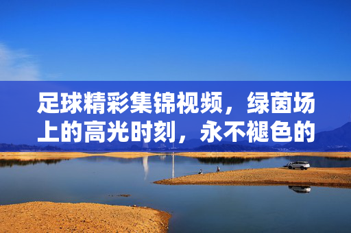 足球精彩集锦视频，绿茵场上的高光时刻，永不褪色的激情回响