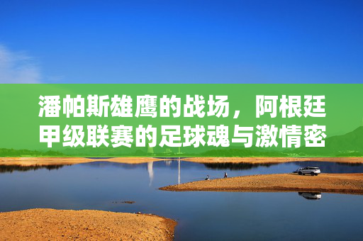 潘帕斯雄鹰的战场，阿根廷甲级联赛的足球魂与激情密码，潘帕斯雄鹰的战场，阿根廷甲级联赛的足球魂与激情
