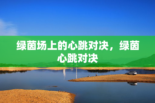 绿茵场上的心跳对决，绿茵心跳对决