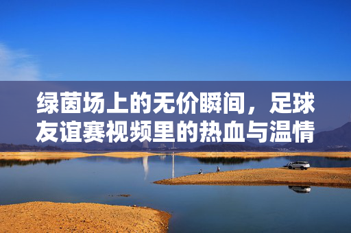 绿茵场上的无价瞬间，足球友谊赛视频里的热血与温情，绿茵场无价瞬间，足球友谊赛里的热血与温情