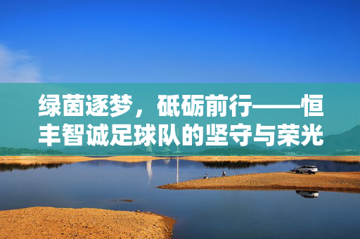 绿茵逐梦，砥砺前行——恒丰智诚足球队的坚守与荣光，绿茵逐梦砥砺行 恒丰智诚守荣光
