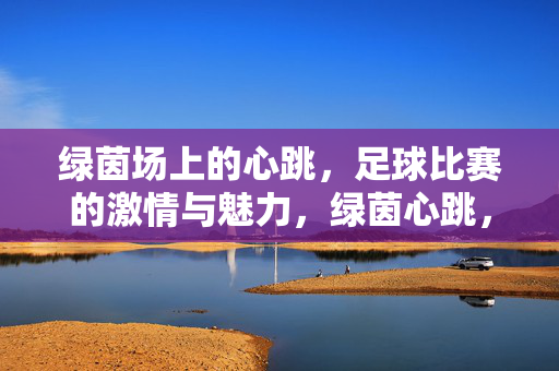 绿茵场上的心跳,足球比赛的激情与魅力,绿茵心跳,足球比赛的激情与魅力