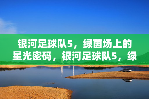银河足球队5，绿茵场上的星光密码，银河足球队5，绿茵场上的星光密码