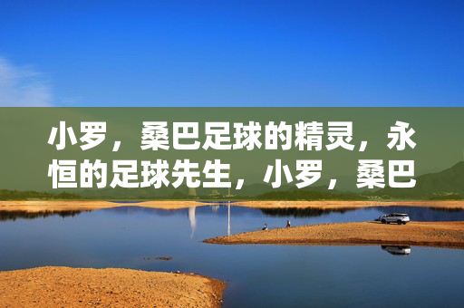 小罗，桑巴足球的精灵，永恒的足球先生，小罗，桑巴精灵，永恒足球先生