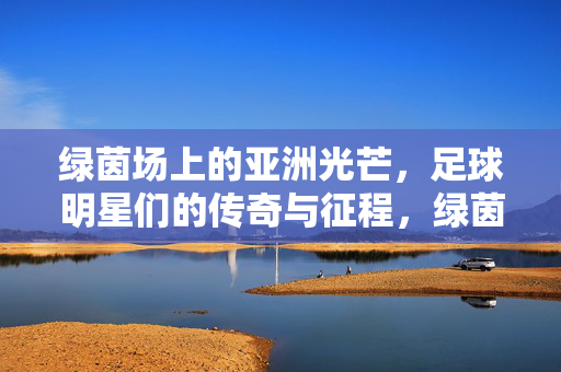 绿茵场上的亚洲光芒，足球明星们的传奇与征程，绿茵亚洲，足球明星的传奇征程