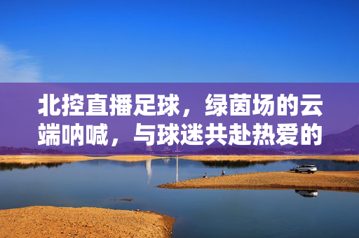 北控直播足球,绿茵场的云端呐喊,与球迷共赴热爱的双向奔赴,北控足球直播,云端呐喊,球迷热爱的双向奔赴
