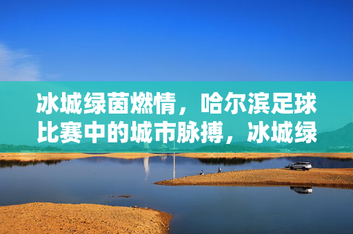 冰城绿茵燃情，哈尔滨足球比赛中的城市脉搏，冰城绿茵燃情，城市足球脉动