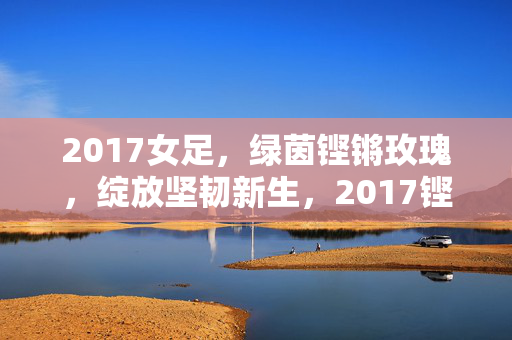 2017女足，绿茵铿锵玫瑰，绽放坚韧新生，2017铿锵玫瑰绿茵绽放坚韧新生
