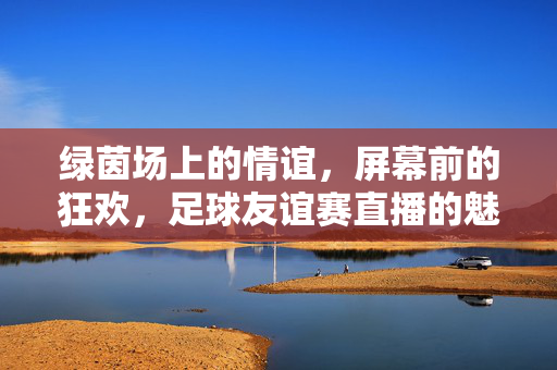 绿茵场上的情谊，屏幕前的狂欢，足球友谊赛直播的魅力，当绿茵情谊遇上屏幕狂欢，足球友谊赛直播的魅力