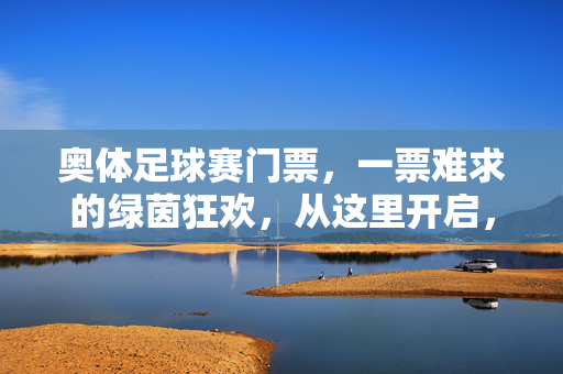 奥体足球赛门票，一票难求的绿茵狂欢，从这里开启，奥体足球赛门票，一票难求的绿茵狂欢