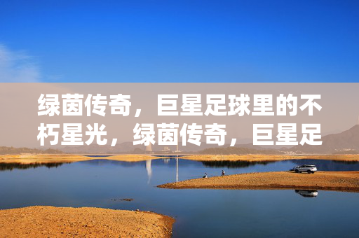 绿茵传奇，巨星足球里的不朽星光，绿茵传奇，巨星足球的不朽星光