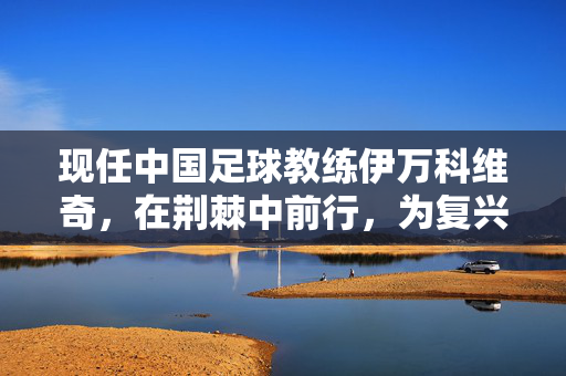 现任中国足球教练伊万科维奇，在荆棘中前行，为复兴燃灯，伊万科维奇，荆棘中前行，为复兴燃灯