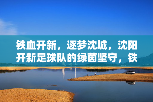 铁血开新,逐梦沈城,沈阳开新足球队的绿茵坚守,铁血开新逐梦,绿茵坚守沈城