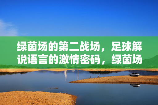绿茵场的第二战场,足球解说语言的激情密码,绿茵场的第二战场,足球解说的激情密码
