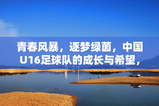青春风暴，逐梦绿茵，中国U16足球队的成长与希望，青春风暴逐梦绿茵，中国U16足球队的成长与希望