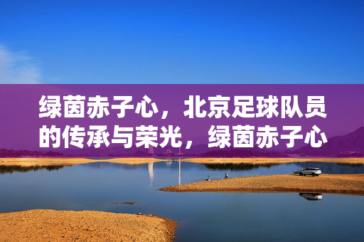 绿茵赤子心，北京足球队员的传承与荣光，绿茵赤子心，北京足球队员的传承与荣光