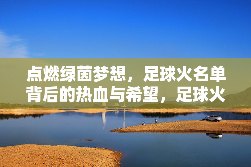 点燃绿茵梦想，足球火名单背后的热血与希望，足球火名单，点燃绿茵梦想的热血与希望