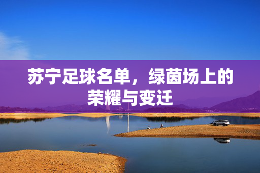 苏宁足球名单，绿茵场上的荣耀与变迁