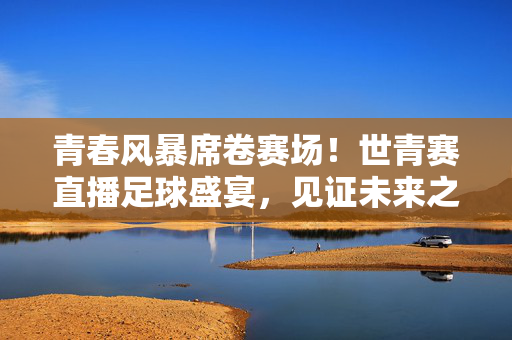青春风暴席卷赛场!世青赛直播足球盛宴,见证未来之星的崛起
