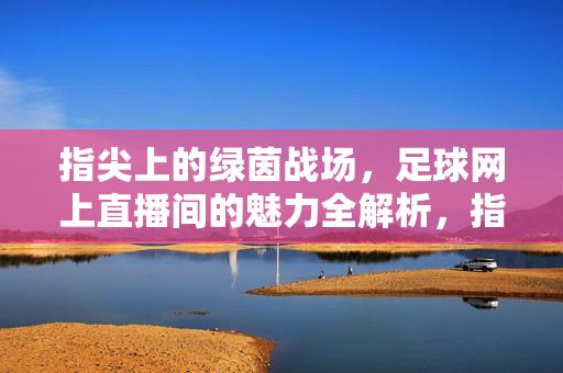 指尖上的绿茵战场，足球网上直播间的魅力全解析，指尖上的绿茵战场，足球网上直播间魅力全解析
