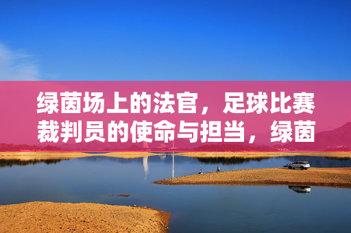 绿茵场上的法官，足球比赛裁判员的使命与担当，绿茵法官，足球裁判的使命担当