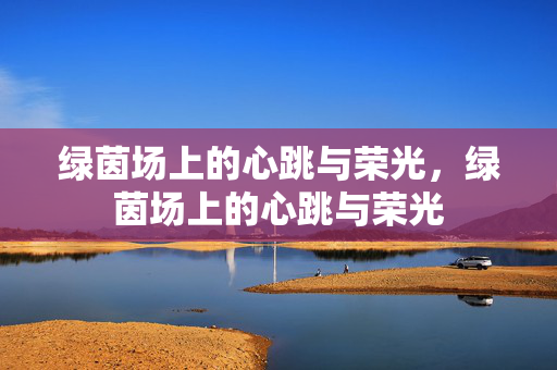 绿茵场上的心跳与荣光,绿茵场上的心跳与荣光