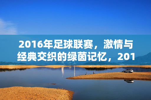 2016年足球联赛,激情与经典交织的绿茵记忆,2016足球联赛,激情经典的绿茵记忆