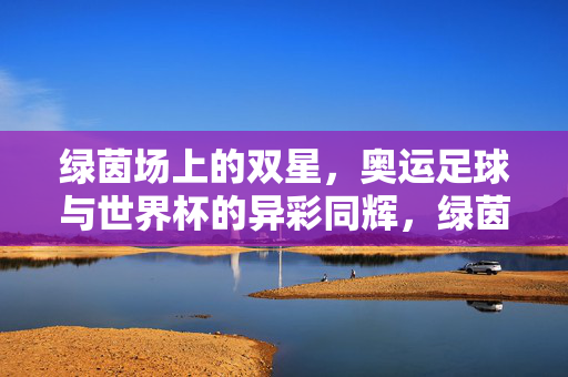绿茵场上的双星，奥运足球与世界杯的异彩同辉，绿茵双星，奥运足球与世界杯异彩同辉