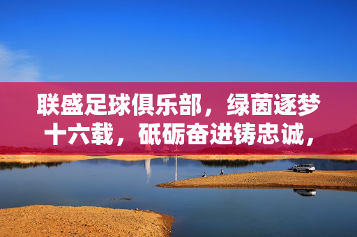 联盛足球俱乐部，绿茵逐梦十六载，砥砺奋进铸忠诚，联盛十六载，绿茵逐梦铸忠诚