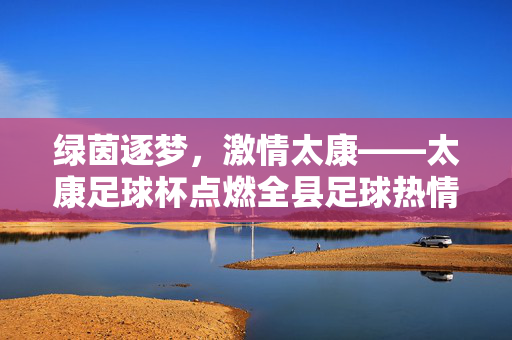 绿茵逐梦，激情太康——太康足球杯点燃全县足球热情，绿茵逐梦，激情太康——太康足球杯点燃全县足球热情