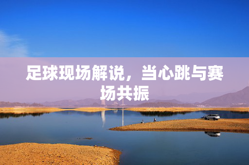 足球现场解说，当心跳与赛场共振